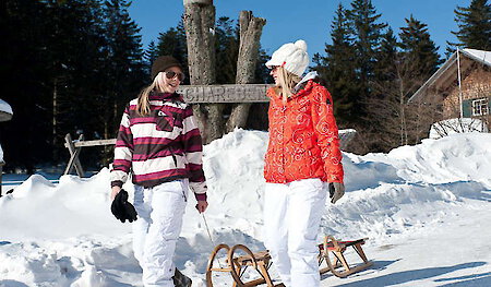 Berghütte Schareben